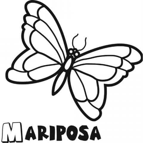 colorear-mariposa