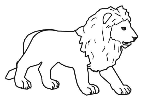 Imagenes Del Reino Animalia Para Dibujar