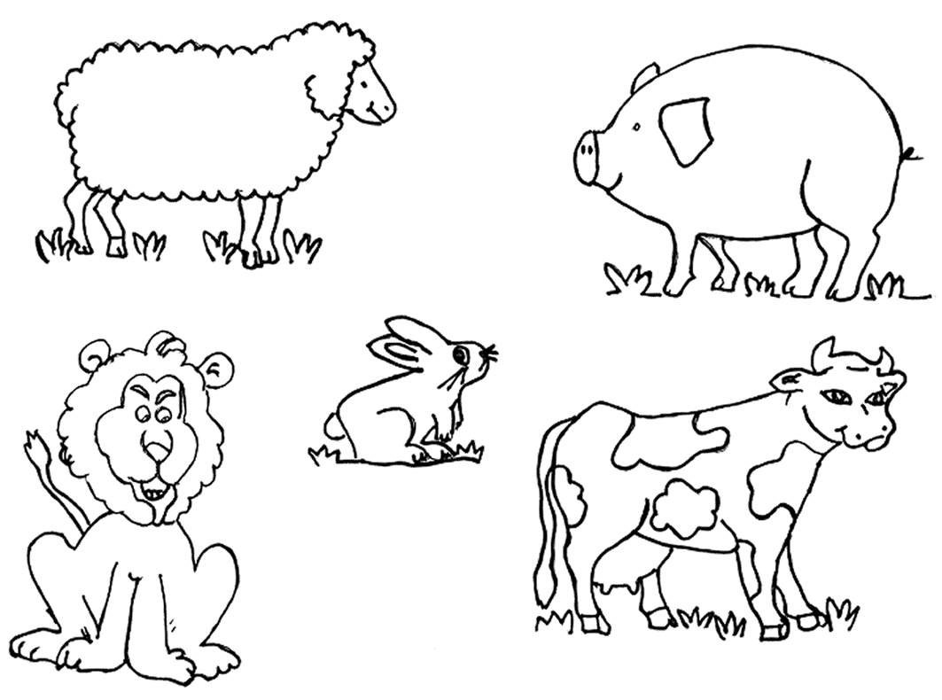 Featured image of post Colorear Animales De La Selva Seca