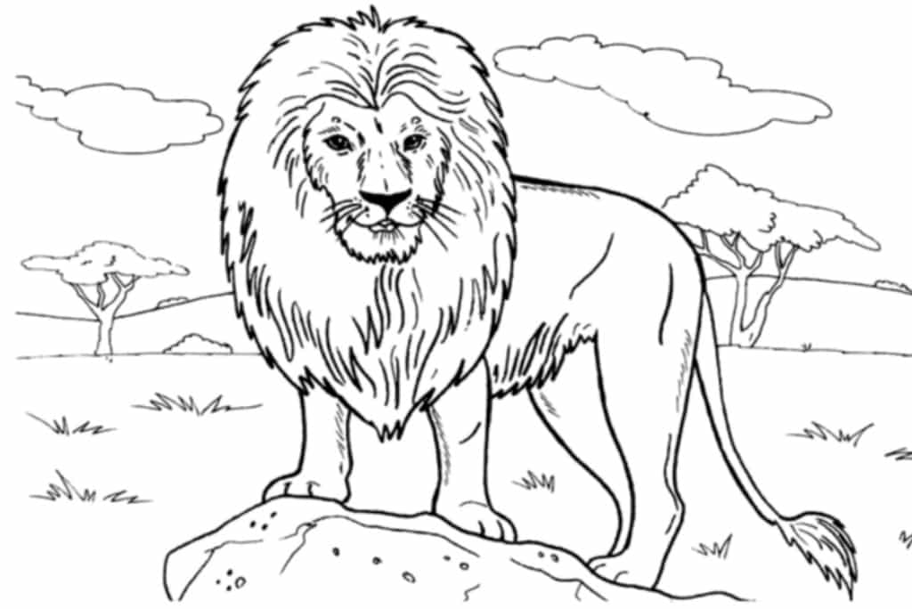 León Libro para colorear y dibujar para niños de 3 a 8 años: Diviértete  coloreando leones y leonas y dibujando las partes de los grandes felinos