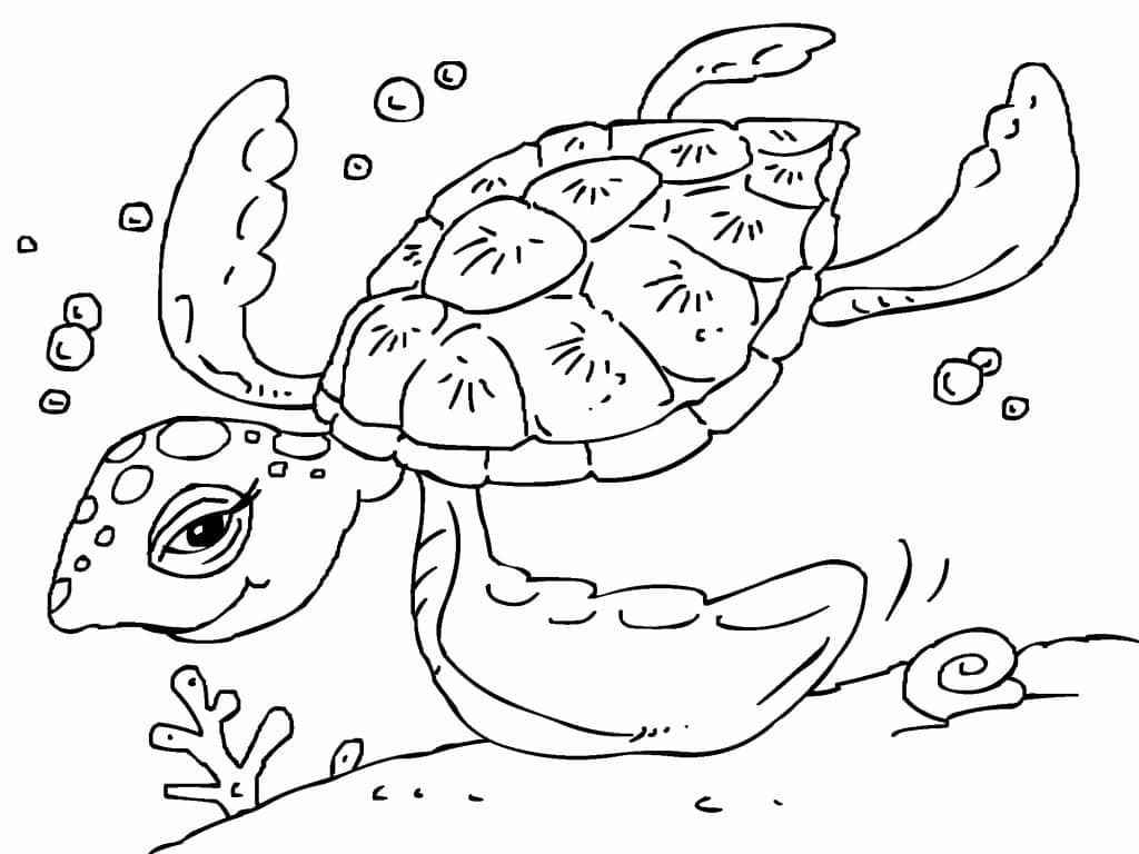 Dibujo de Tortuga de Mar para colorear Dibujos para