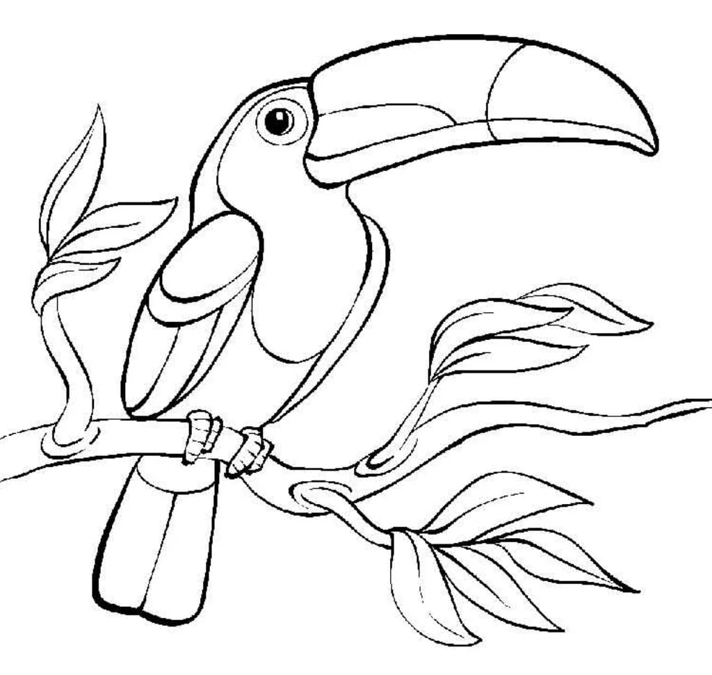 TUCÁN » La colorida ave de los biomas tropicales suramericanos | Animales  para Colorear